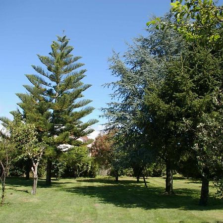 Vivienda Tradicional Con Jardin Y Patio Interior Villa Villanueva De Arosa Dış mekan fotoğraf