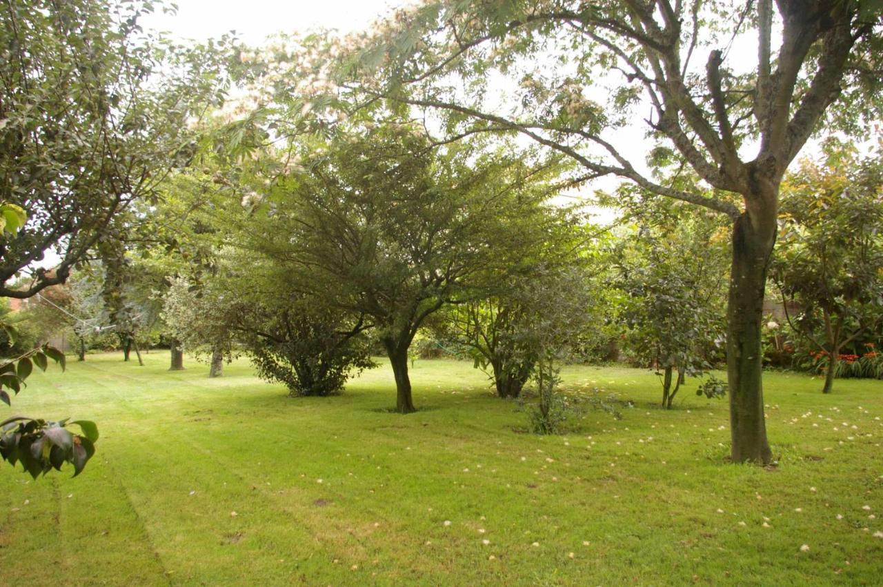 Vivienda Tradicional Con Jardin Y Patio Interior Villa Villanueva De Arosa Dış mekan fotoğraf