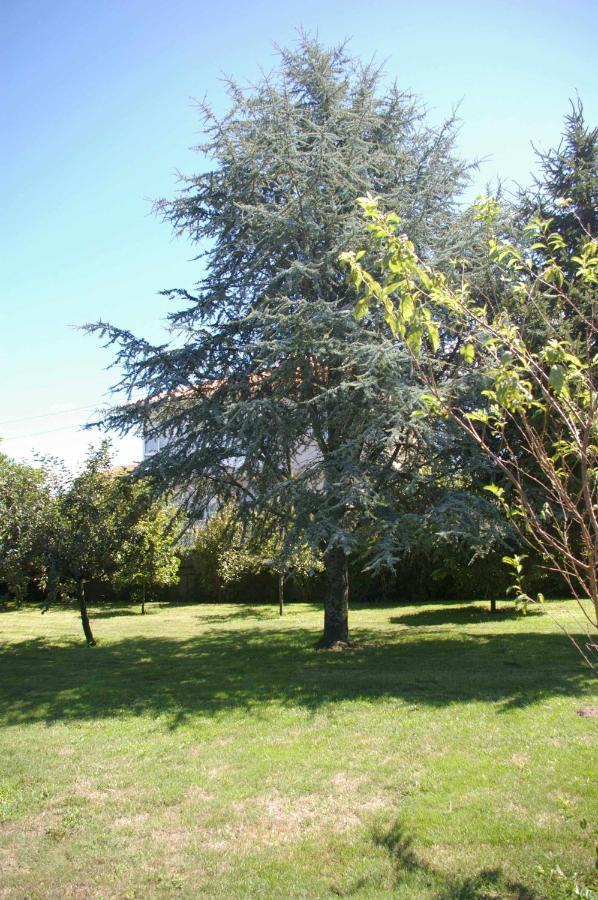 Vivienda Tradicional Con Jardin Y Patio Interior Villa Villanueva De Arosa Dış mekan fotoğraf